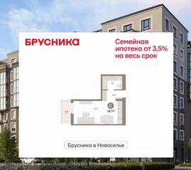 ЖК «Брусника в Новоселье», планировка студии, 34.71 м²