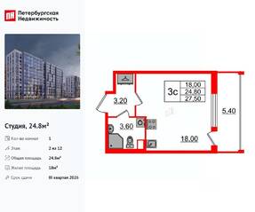 ЖК «Бионика Заповедная», планировка студии, 24.80 м²