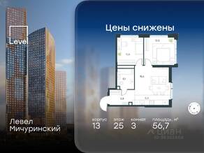 ЖК «Level Мичуринский», планировка 3-комнатной квартиры, 56.70 м²