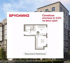 ЖК «Брусника в Новоселье», планировка студии, 34.55 м²