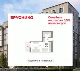 ЖК «Брусника в Новоселье», планировка студии, 34.71 м²