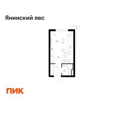 ЖК «Янинский лес», планировка студии, 20.90 м²