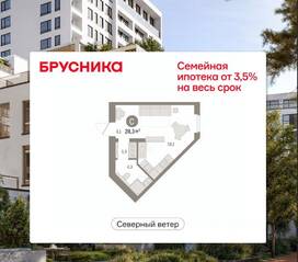 ЖК Квартал «Северный ветер», планировка студии, 28.28 м²