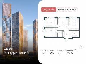 ЖК «Level Мичуринский», планировка 3-комнатной квартиры, 75.50 м²