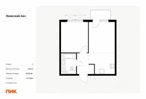 ЖК «Янинский лес», планировка 1-комнатной квартиры, 38.92 м²