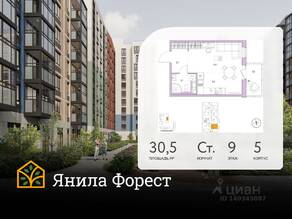 ЖК «Янила», планировка студии, 30.50 м²