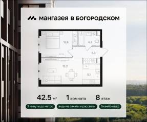 ЖК «Мангазея в Богородском», планировка 1-комнатной квартиры, 42.50 м²