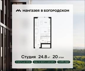 ЖК «Мангазея в Богородском», планировка студии, 24.80 м²