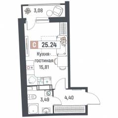 ЖК «Авиатор» (Девяткино), планировка студии, 25.24 м²