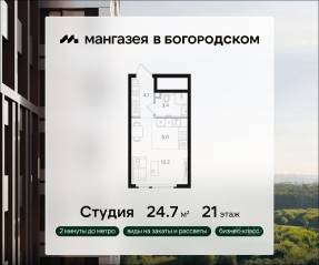 ЖК «Мангазея в Богородском», планировка студии, 24.70 м²