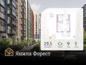 ЖК «Янила», планировка студии, 29.50 м²