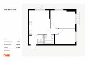 ЖК «Янинский лес», планировка 2-комнатной квартиры, 48.90 м²