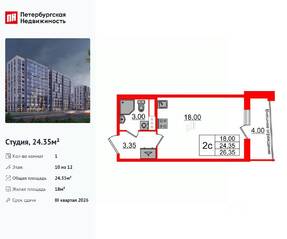 ЖК «Бионика Заповедная», планировка студии, 24.35 м²