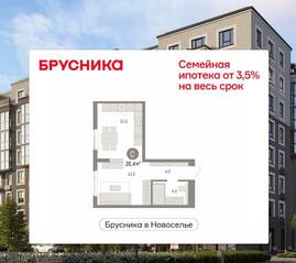 ЖК «Брусника в Новоселье», планировка студии, 35.37 м²