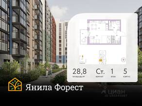 ЖК «Янила», планировка студии, 28.80 м²