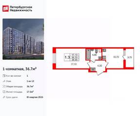 ЖК «Бионика Заповедная», планировка 1-комнатной квартиры, 36.70 м²