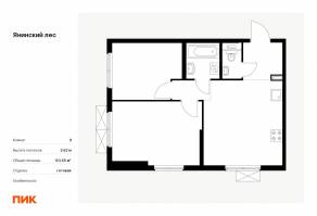 ЖК «Янинский лес», планировка 2-комнатной квартиры, 50.55 м²