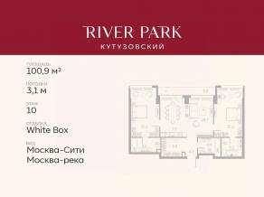 ЖК «River Park Towers Кутузовский», планировка 2-комнатной квартиры, 100.90 м²
