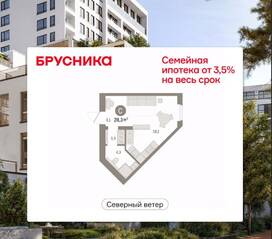 ЖК Квартал «Северный ветер», планировка студии, 28.28 м²