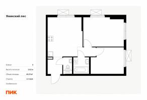 ЖК «Янинский лес», планировка 2-комнатной квартиры, 48.91 м²