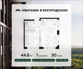 ЖК «Мангазея в Богородском», планировка 1-комнатной квартиры, 44.80 м²