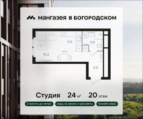 ЖК «Мангазея в Богородском», планировка студии, 24.00 м²