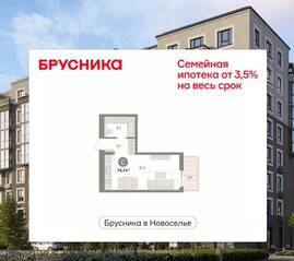 ЖК «Брусника в Новоселье», планировка студии, 34.44 м²