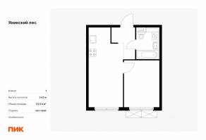 ЖК «Янинский лес», планировка 1-комнатной квартиры, 32.54 м²