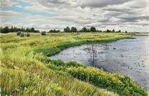 «Дочка» ЛСР построит жилой комплекс у Пулковского водохранилища