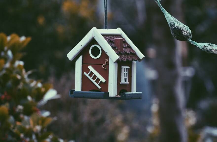 Harmen Jelle van Mourik, Unsplash